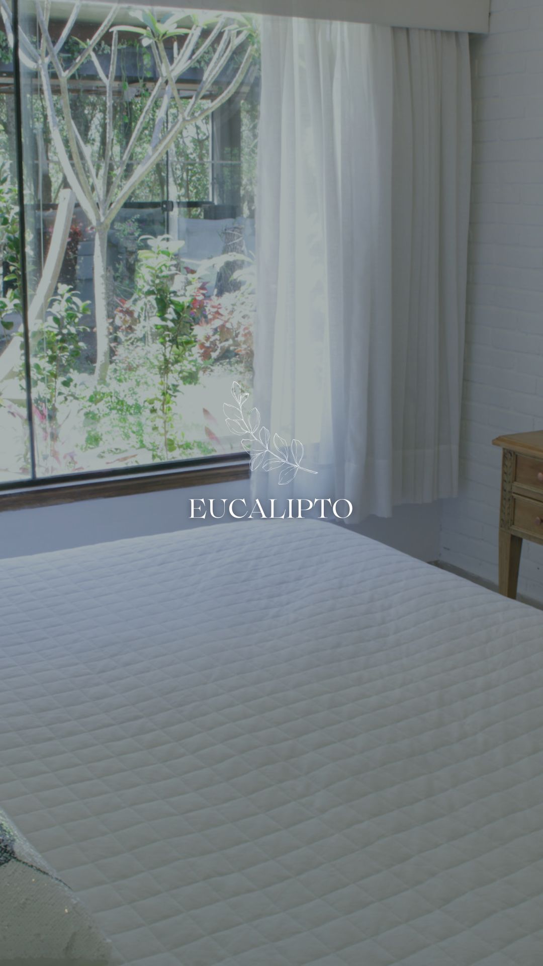 Suite Eucalipto