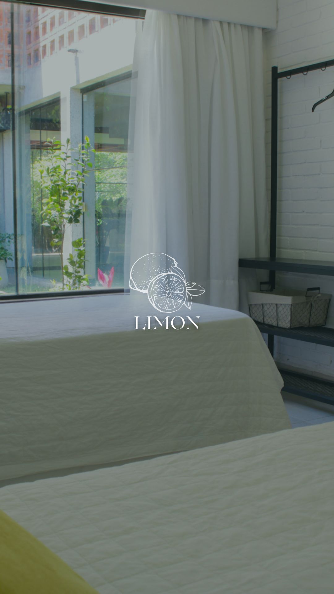 Suite Limón